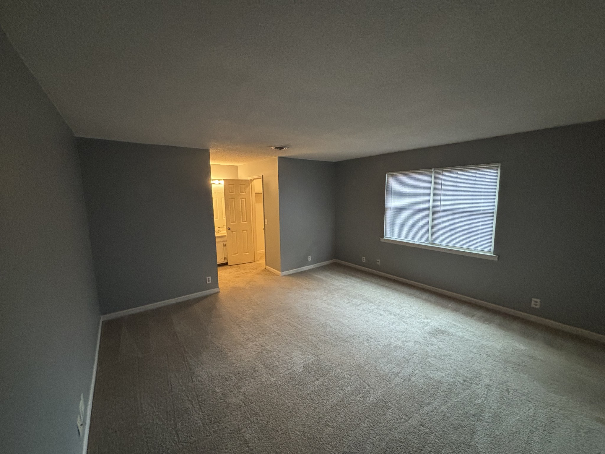 4001 Anderson Road, Unit C115 Nashville, TN 37217 - Photo 6 of 19 an empty room with windows