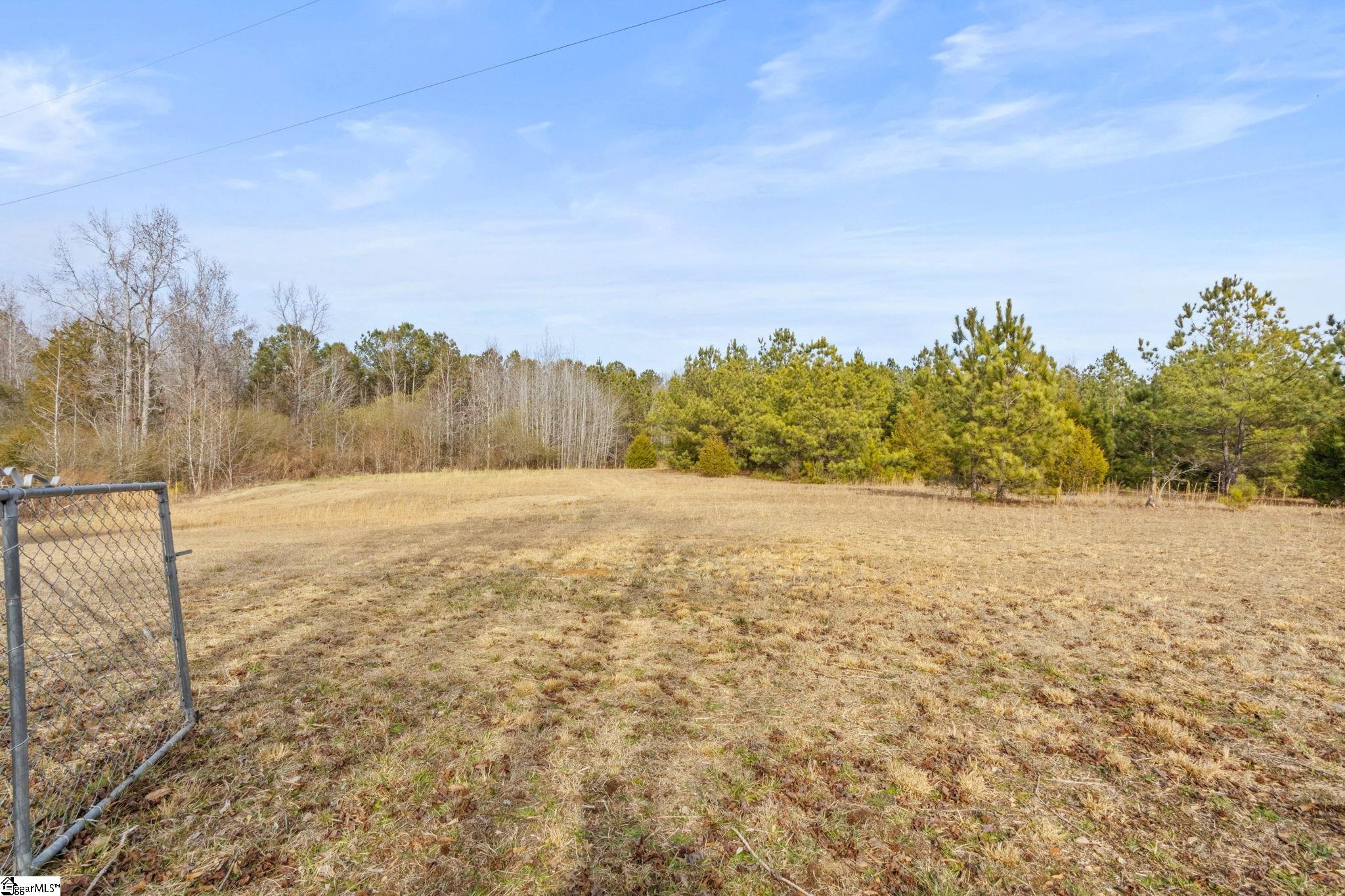0 Boyd Road Laurens, SC 29360 - Photo 33 of 41