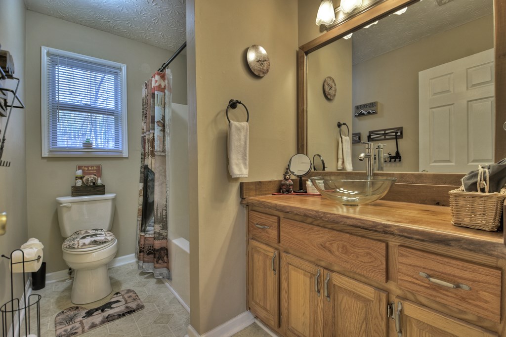 729 Matrix Lane Ellijay, GA 30540 - Photo 16 of 38