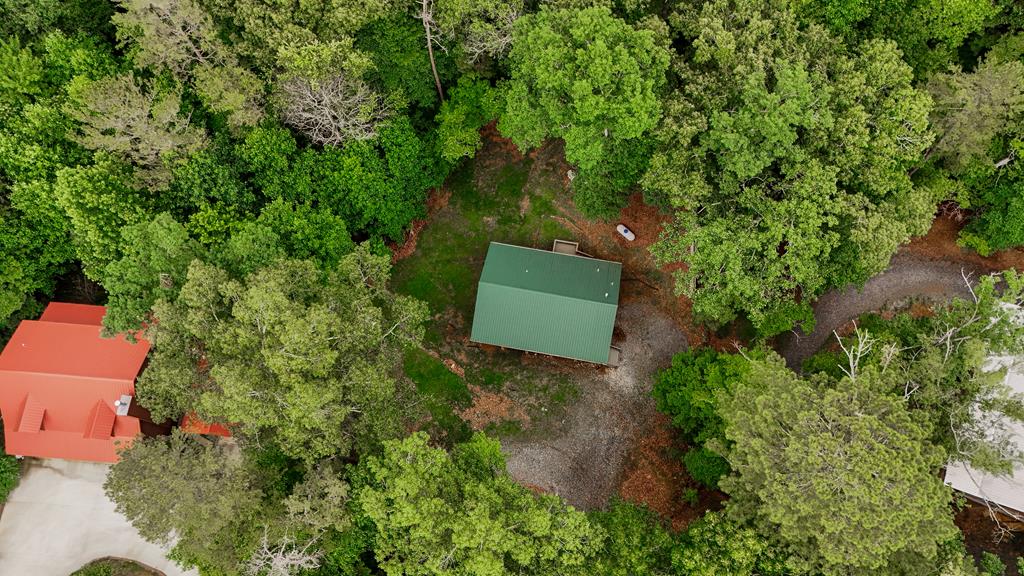 729 Matrix Lane Ellijay, GA 30540 - Photo 24 of 38