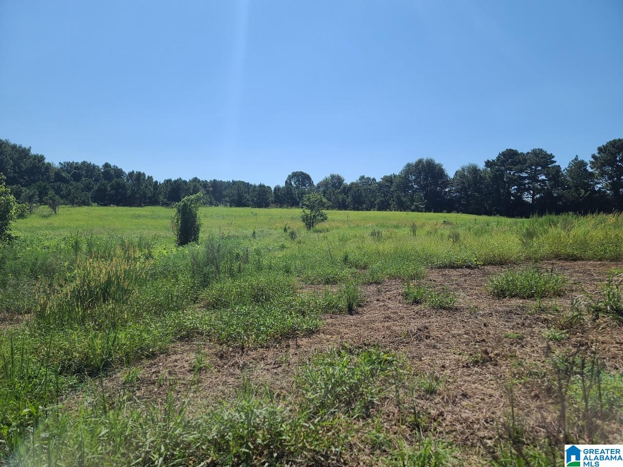 0 Corner School Road Empire, AL 35063 - Photo 5 of 18 Gallery Image 5