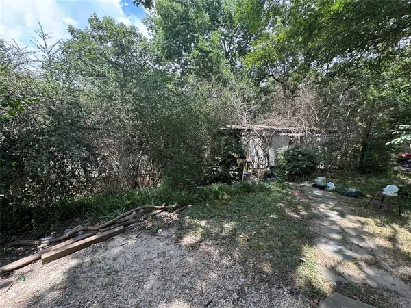 a view of a park with large trees