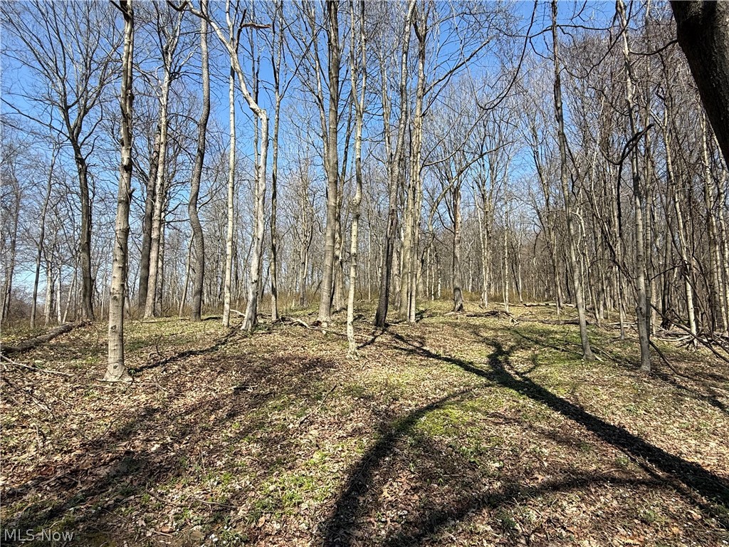 0 Kragel Road Richmond, OH 43944 - Photo 14 of 31
