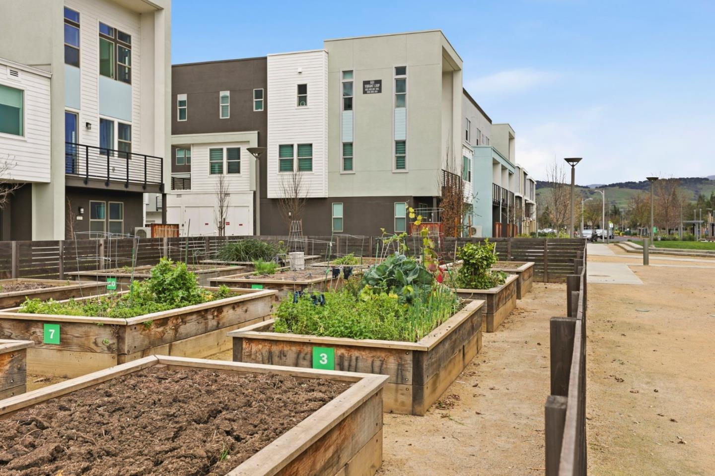 6816 Vector Court San Jose, CA 95119 - Photo 23 of 53