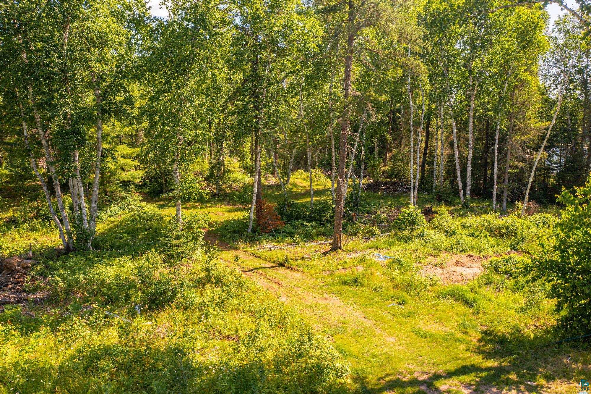 3420 Dewees Road Babbitt, MN 55706 - Photo 39 of 58 Cut trails throughout the property along with easy access to miles of area rec trails.