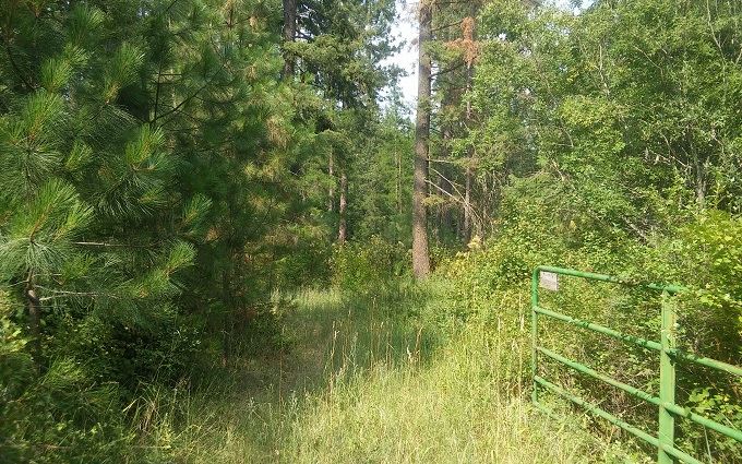 0 Phay Road Elk, WA 99009 - Photo 1 of 6