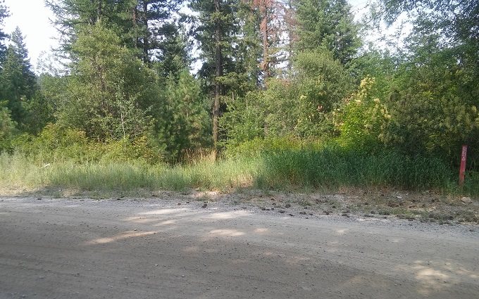 0 Phay Road Elk, WA 99009 - Photo 4 of 6