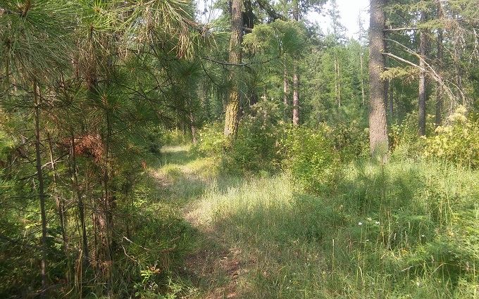 0 Phay Road Elk, WA 99009 - Photo 5 of 6