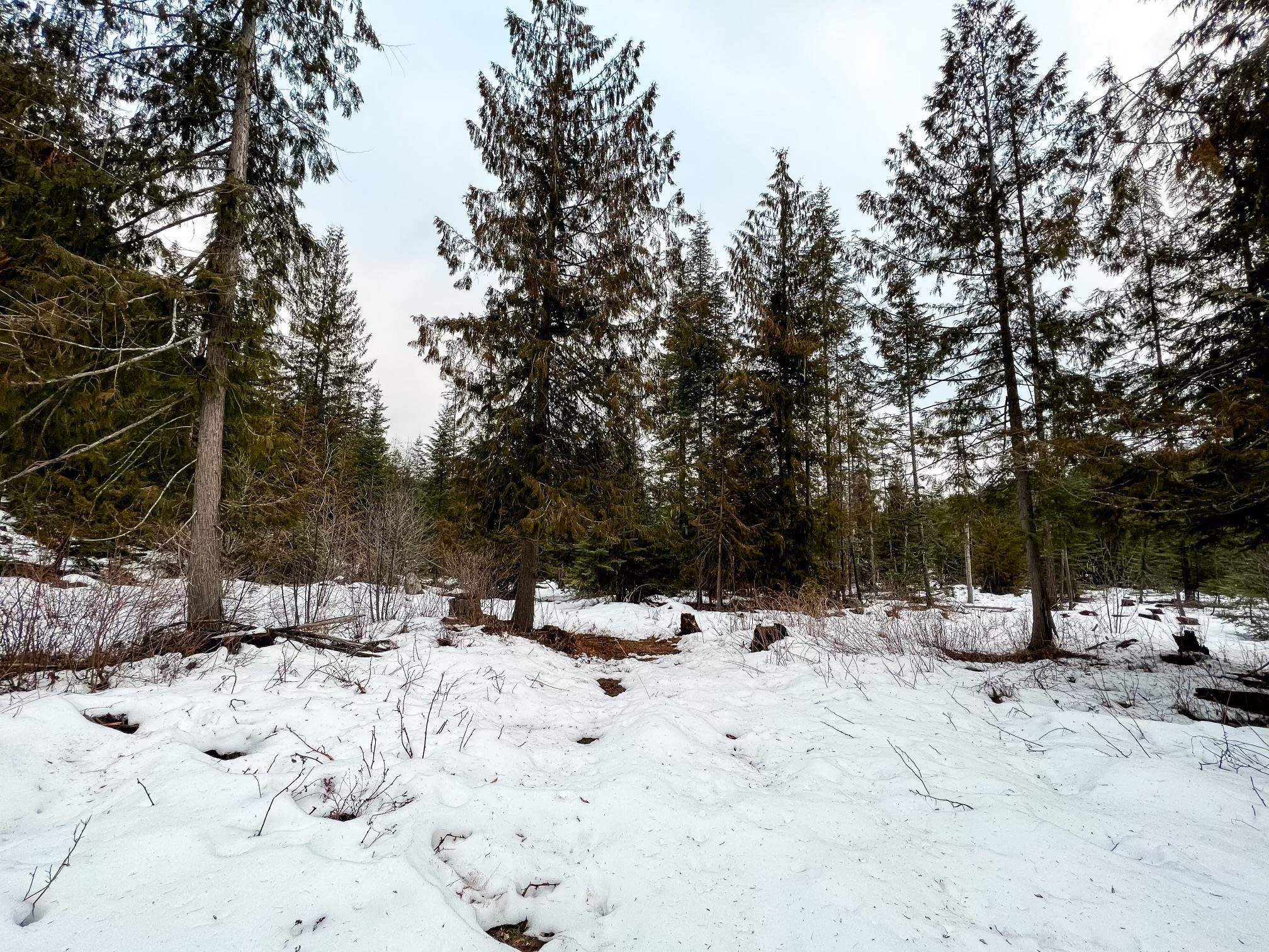 79-x-a Henry Road Colville, WA 99114 - Photo 4 of 15