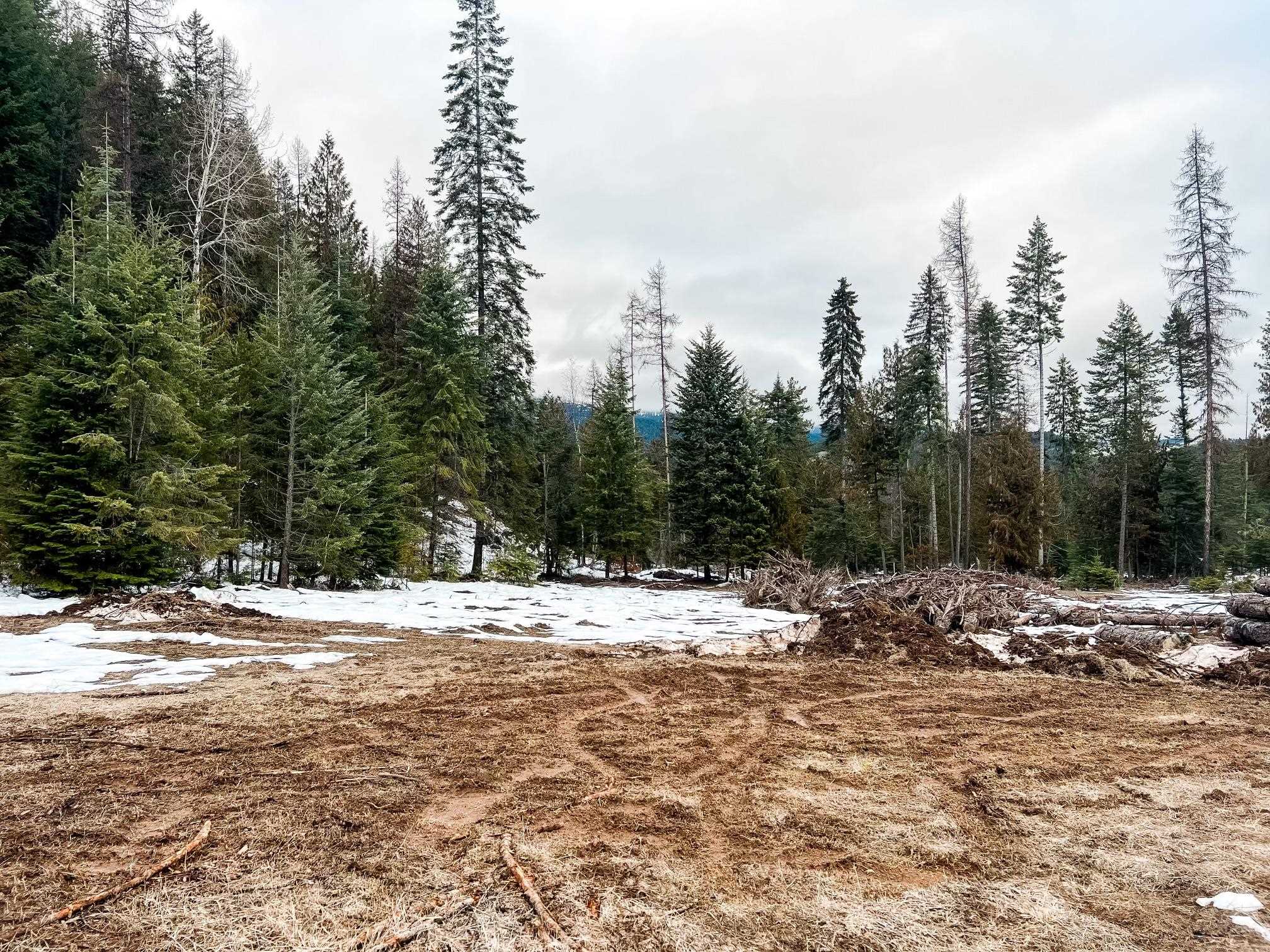 79-x-a Henry Road Colville, WA 99114 - Photo 5 of 15
