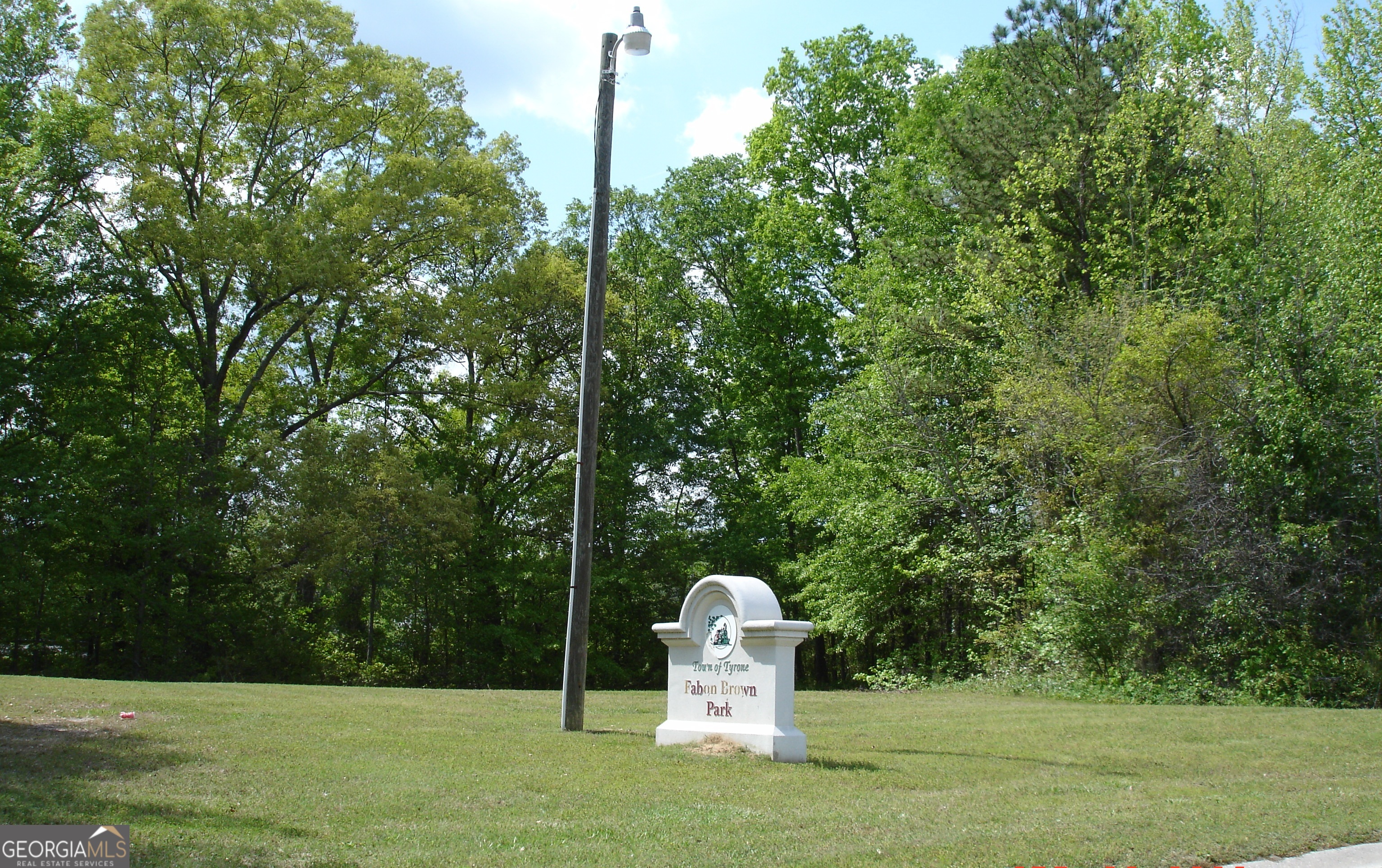 295 Handley Court Tyrone, GA 30290 - Photo 24 of 25 a view of a park