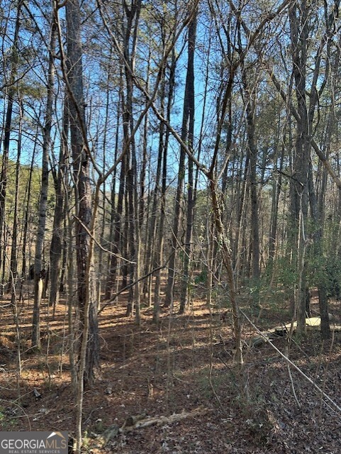 295 Handley Court Tyrone, GA 30290 - Photo 5 of 25 a backyard of a house with lots of green space