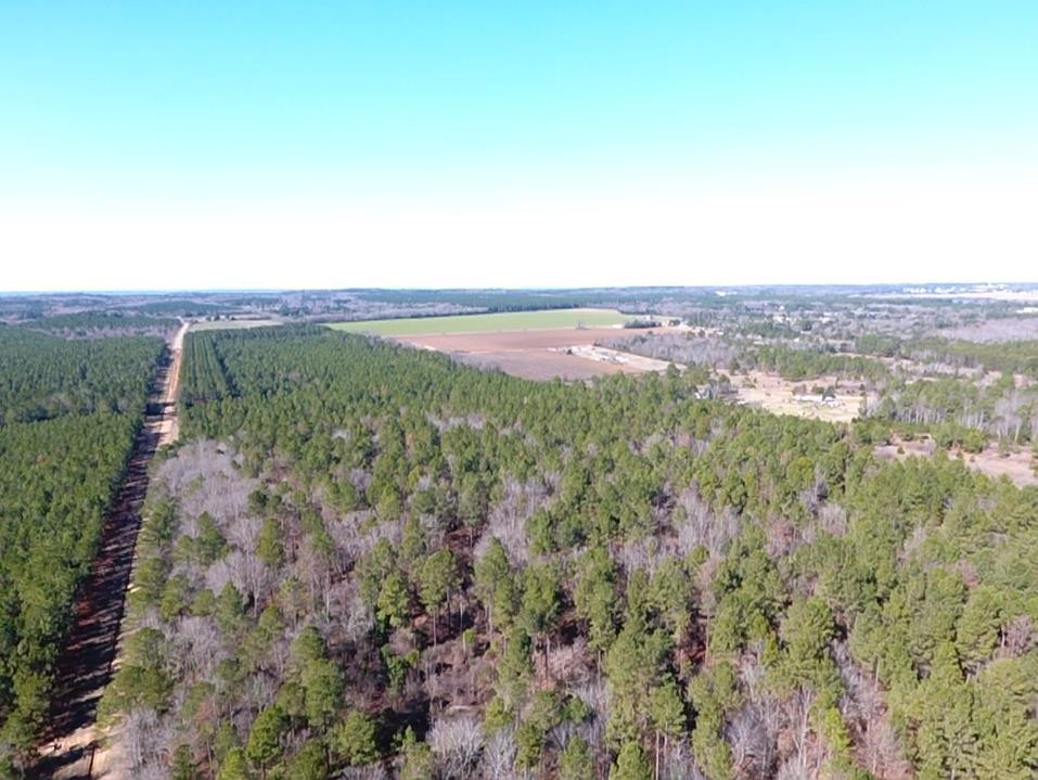 0 McLaurin Road Wedgefield, SC 29168 - Photo 2 of 15 Gallery Image 2