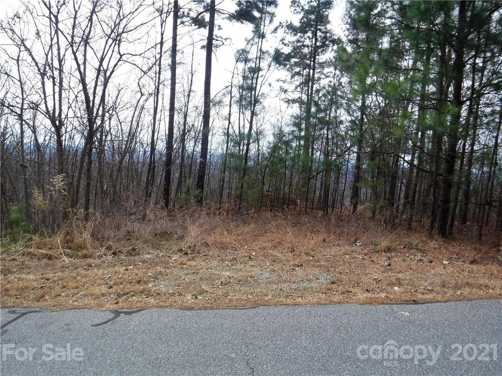 92 Big Rock Road Bostic, NC 28018 - Photo 3 of 12 a view of outdoor space with trees