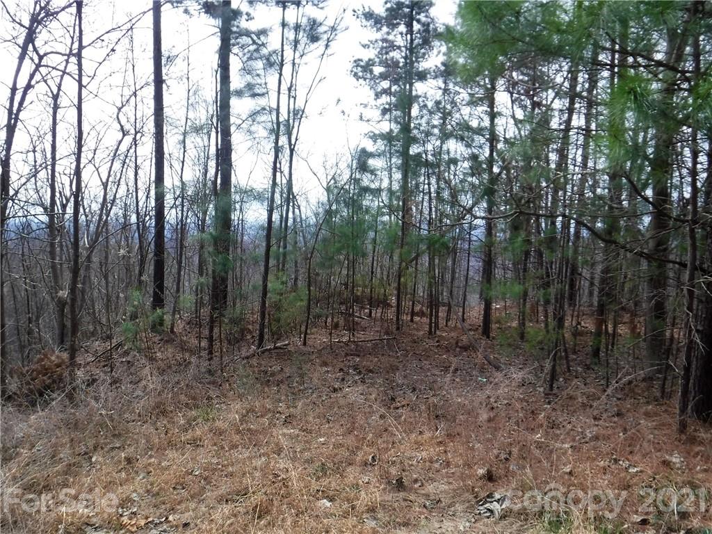 92 Big Rock Road Bostic, NC 28018 - Photo 8 of 12 a view of a forest with trees in the background