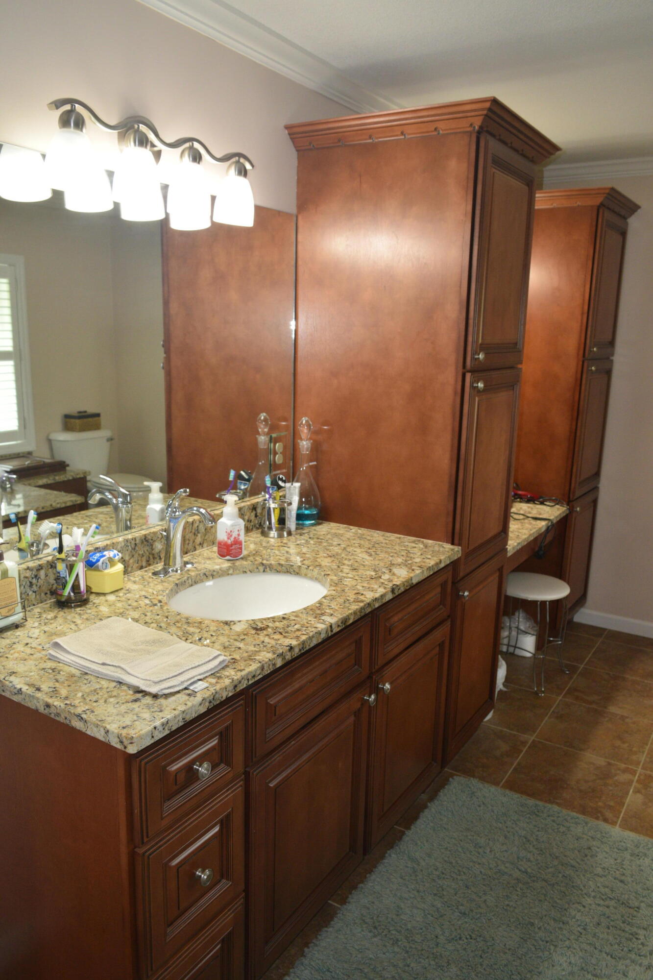 1098 Sable Road Spring City, TN 37381 - Photo 51 of 59 DSC_0008