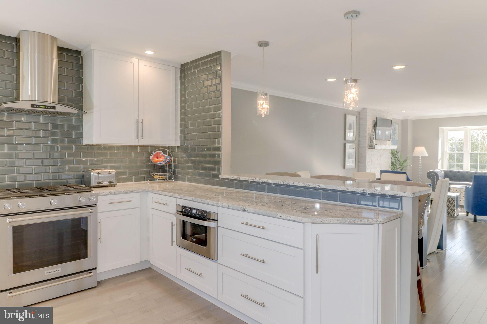 205 Springvalley Way Aston, PA 19014 - Photo 4 of 30 Upgraded appliances