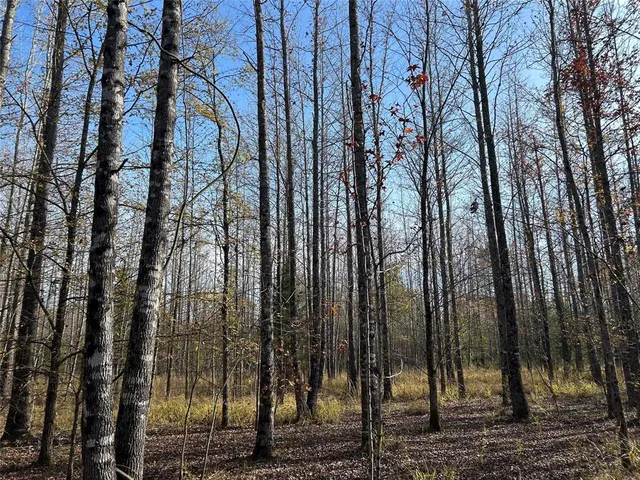 a view of backyard with green space