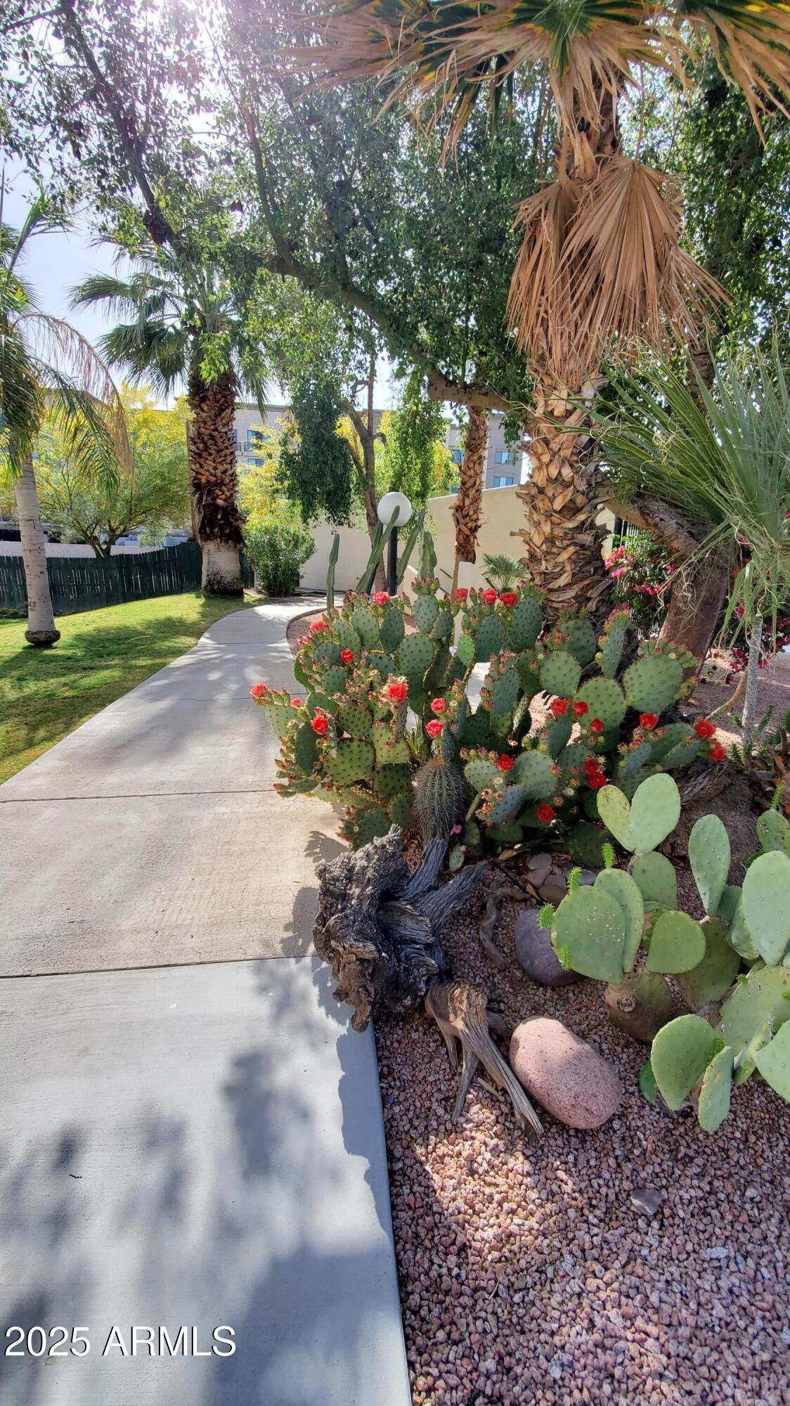 4330 North 5th Avenue, Unit 209 Phoenix, AZ 85013 - Photo 30 of 46 20210421_155552