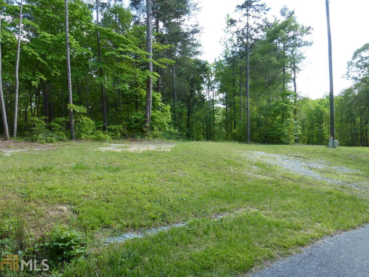 0 Paynes Creek Road, Unit 10 Hartwell, GA 30643 - Photo 1 of 1 Gallery Image 1
