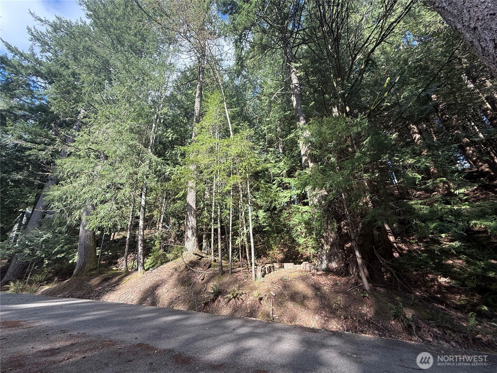 14 Granite Circle Bellingham, WA 98229 - Photo 1 of 5 a view of a yard with plants and trees
