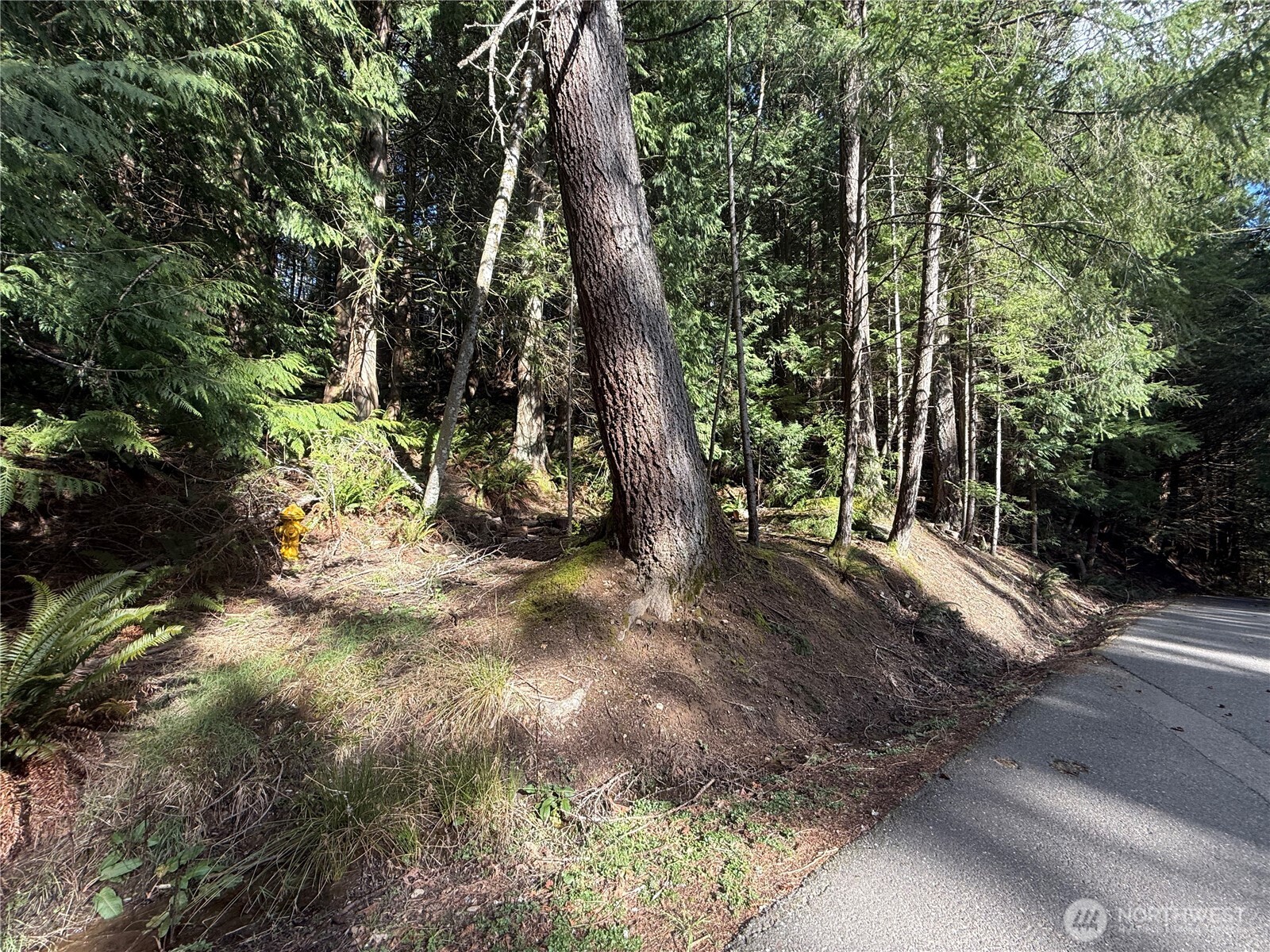 14 Granite Circle Bellingham, WA 98229 - Photo 3 of 5 a view of outdoor space with trees