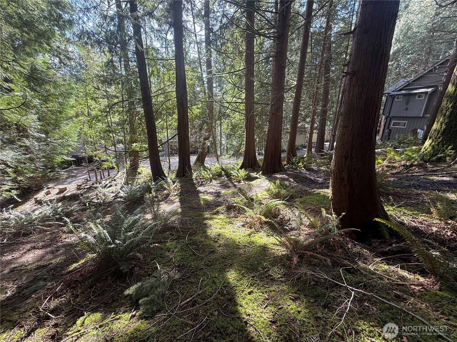 14 Granite Circle Bellingham, WA 98229 - Photo 5 of 5 a view of outdoor space and trees