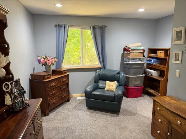 772 North Sycamore Road Howard City, MI 49329 - Photo 22 of 34 IMG_0073