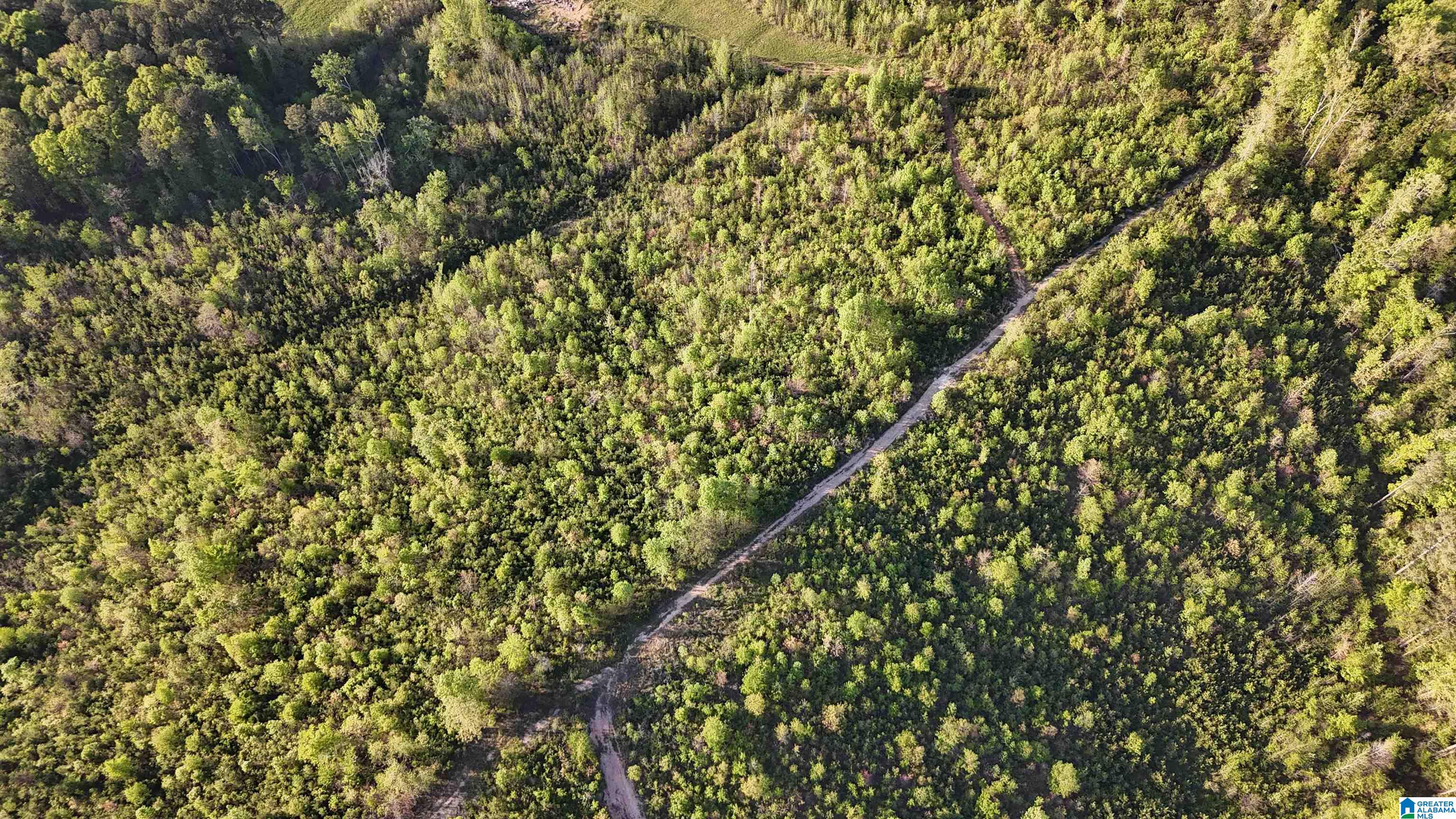 3410 Highway 132 Oneonta, AL 35121 - Photo 37 of 46
