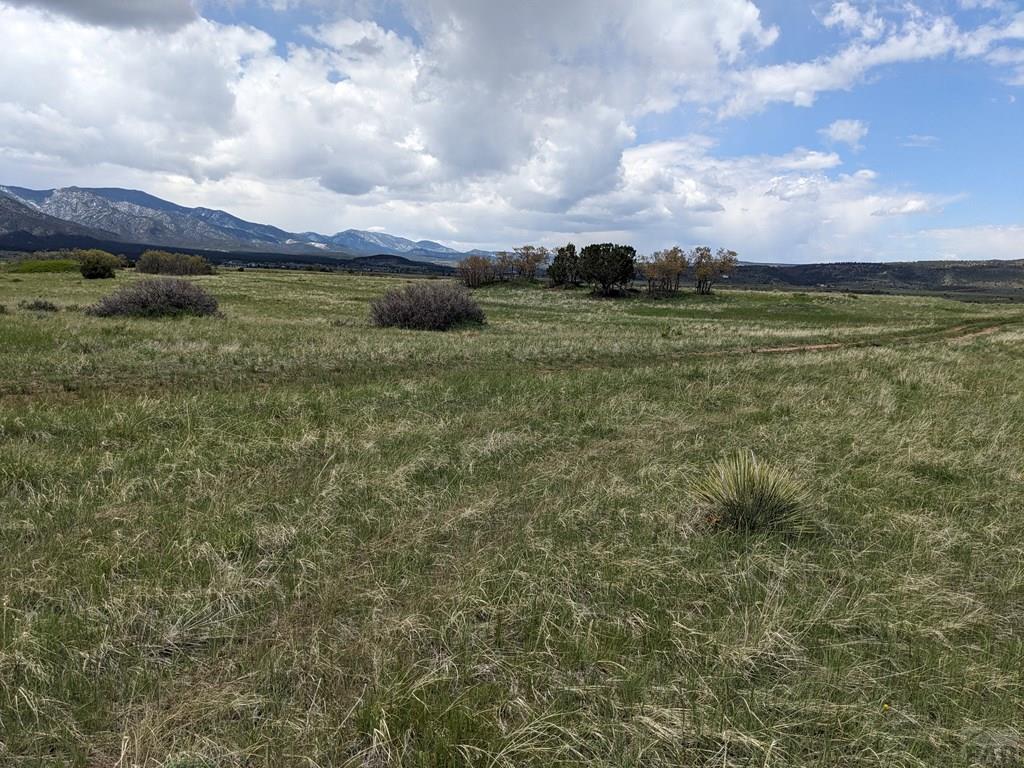 Tbd Honeywell Drive Rye, CO 81069 - Photo 4 of 16
