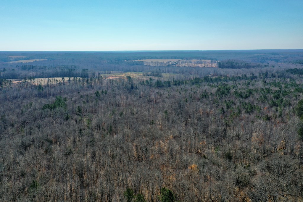 0 Old Calhoun Falls Road Abbeville, SC 29620 - Photo 1 of 11 Gallery Image 1