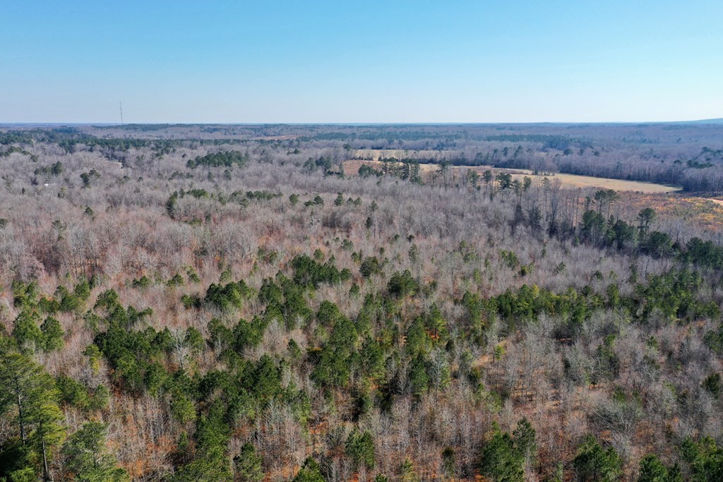 0 Old Calhoun Falls Road Abbeville, SC 29620 - Photo 9 of 11 Gallery Image 9