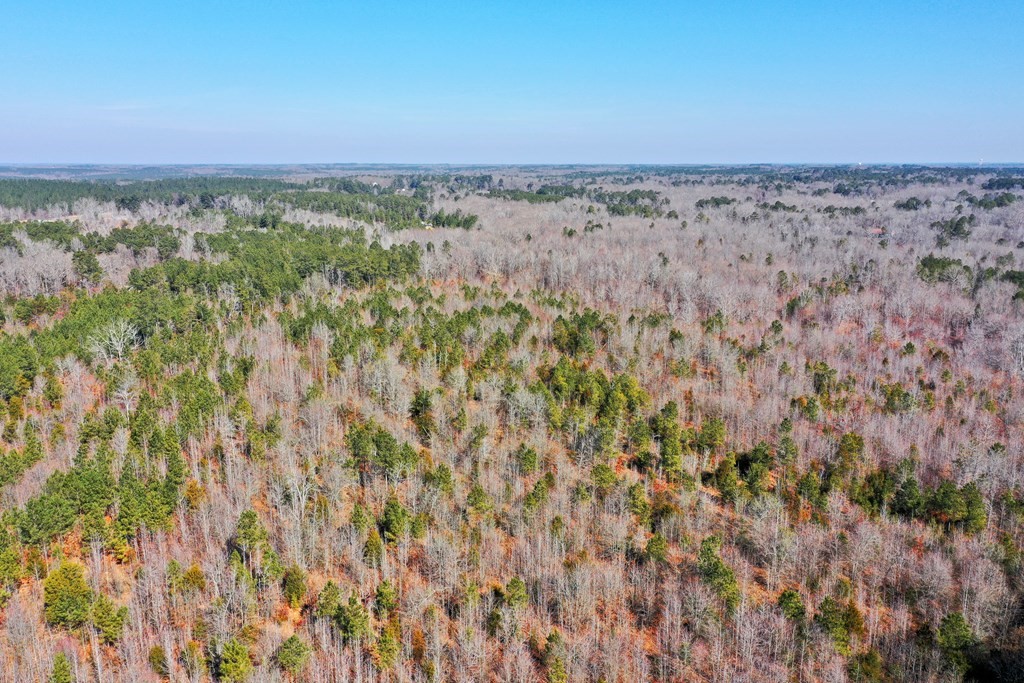 0 Old Calhoun Falls Road Abbeville, SC 29620 - Photo 10 of 11 Gallery Image 10