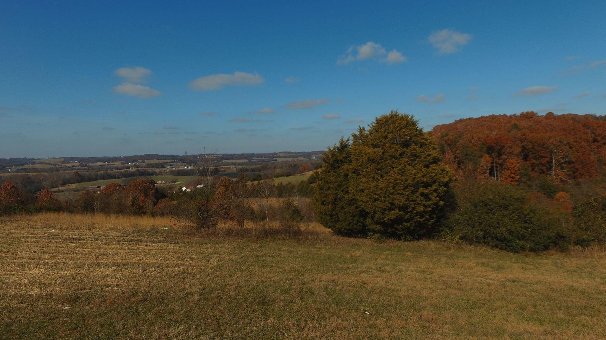 0 Lot Road Sweetwater, TN 37874 - Photo 12 of 13 Gallery Image 12