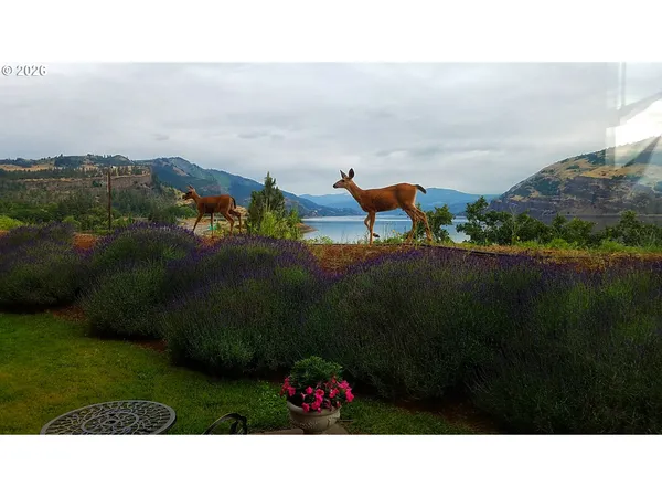 $595,000 | 14 Mosier Creek Place, Mosier, OR 97040