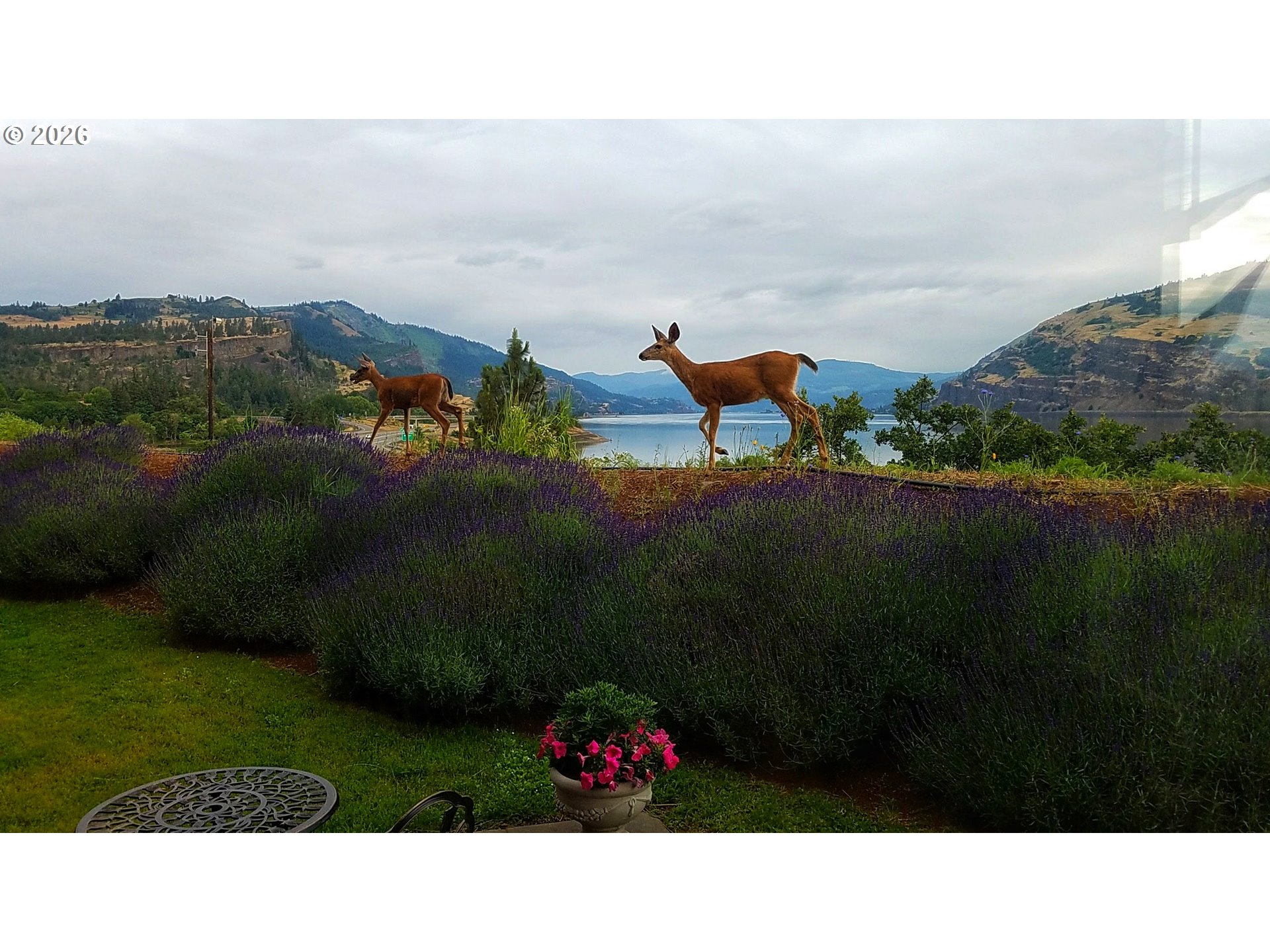 14 Mosier Creek Place Mosier, OR 97040 - Photo 17 of 19