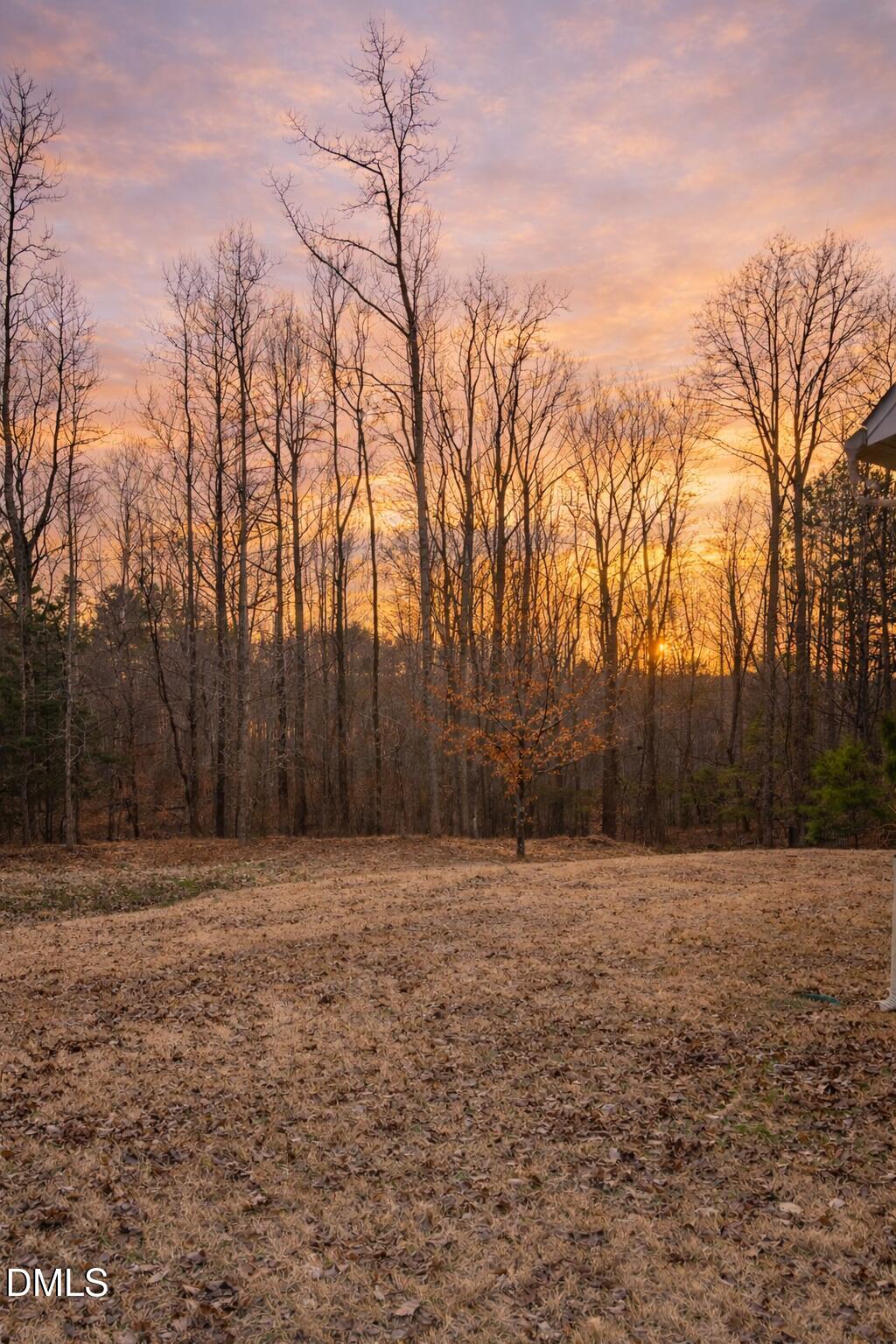 2024 Delphi Way Wake Forest, NC 27587 - Photo 5 of 26 208053B9-08D9-46E1-9502-51B4472170A0