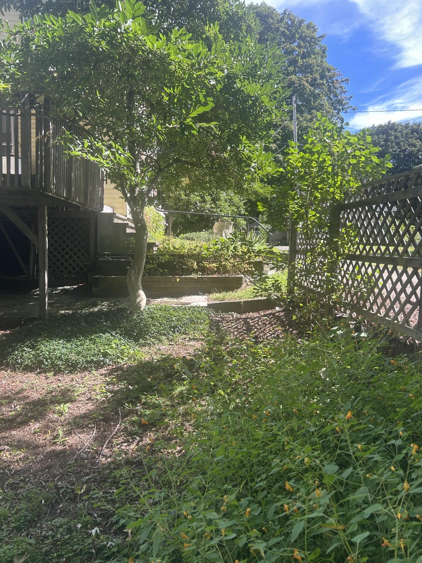 26 Bemis Street Livermore Falls, ME 04254 - Photo 5 of 22 0412 side yard