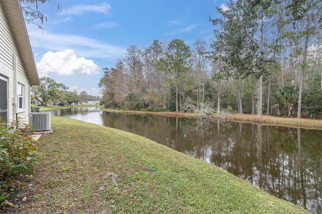 4638 Sheffield Drive New Port Richey, FL 34655 - Photo 32 of 67