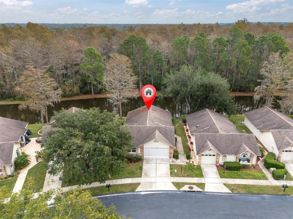 4638 Sheffield Drive New Port Richey, FL 34655 - Photo 4 of 67