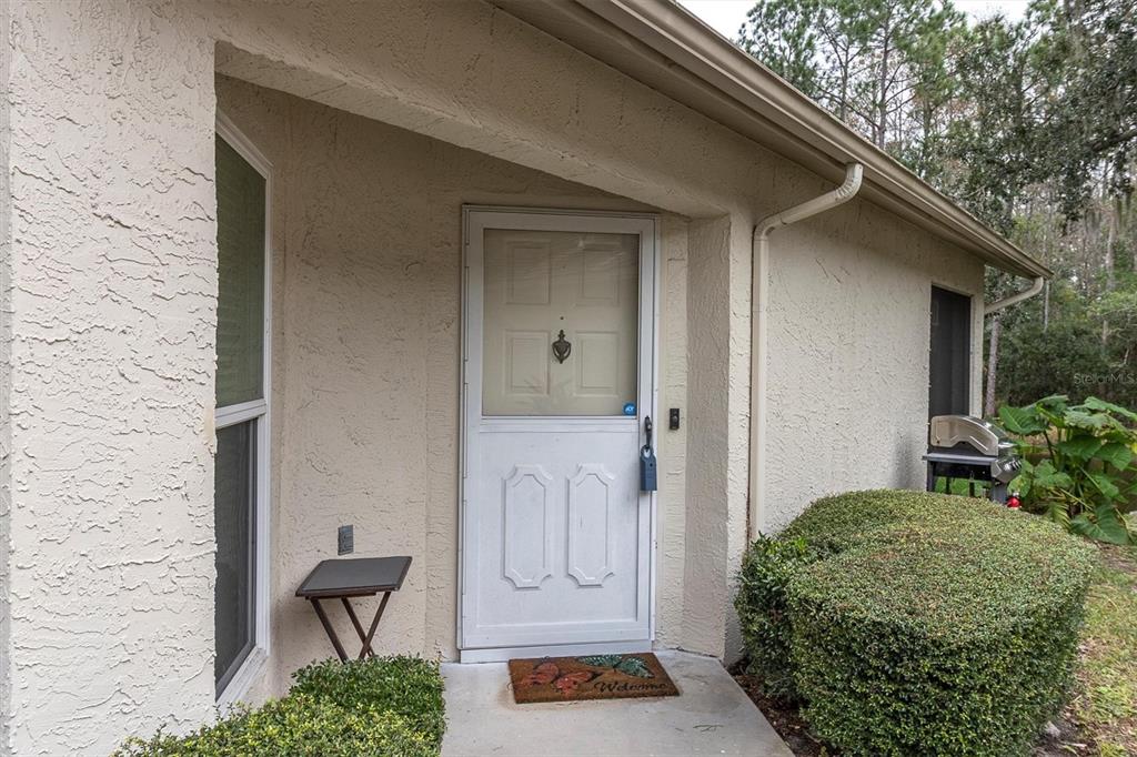 4638 Sheffield Drive New Port Richey, FL 34655 - Photo 5 of 67 a view of front door and small yard