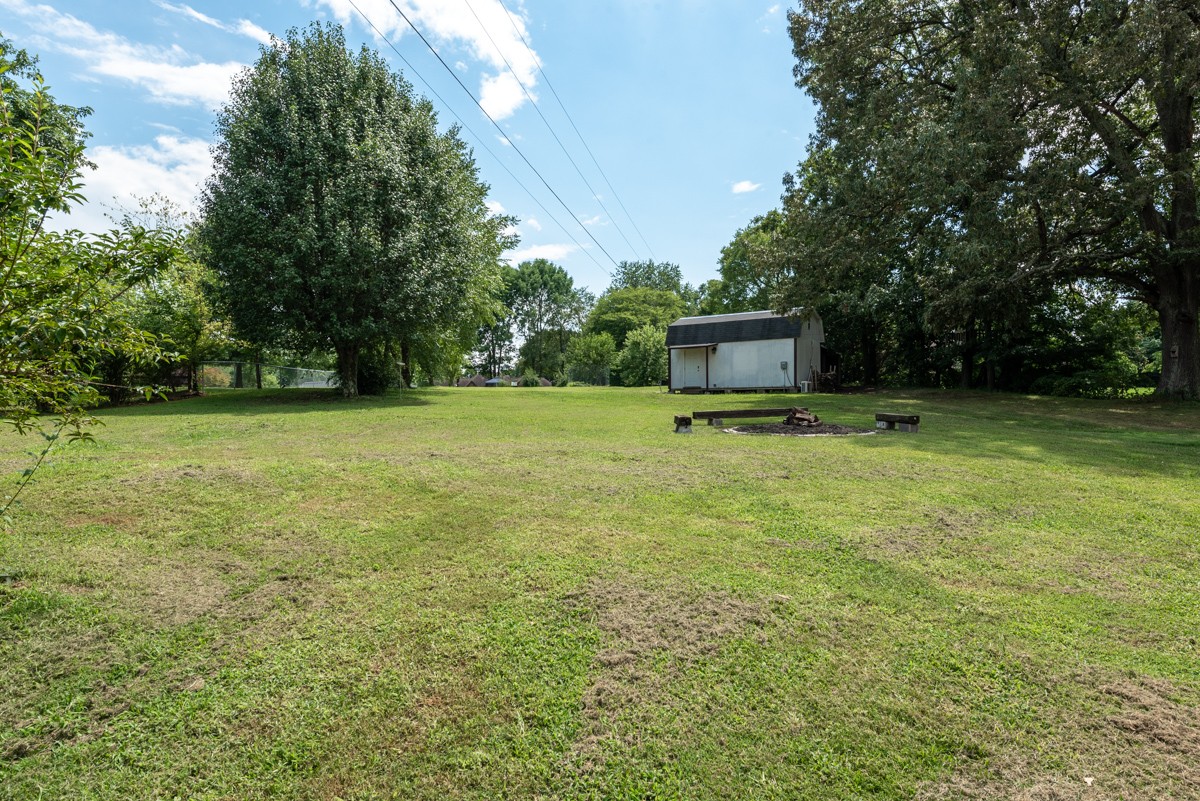341 Lee Road Cottontown, TN 37048 - Photo 34 of 43 a view of a field with trees in the background