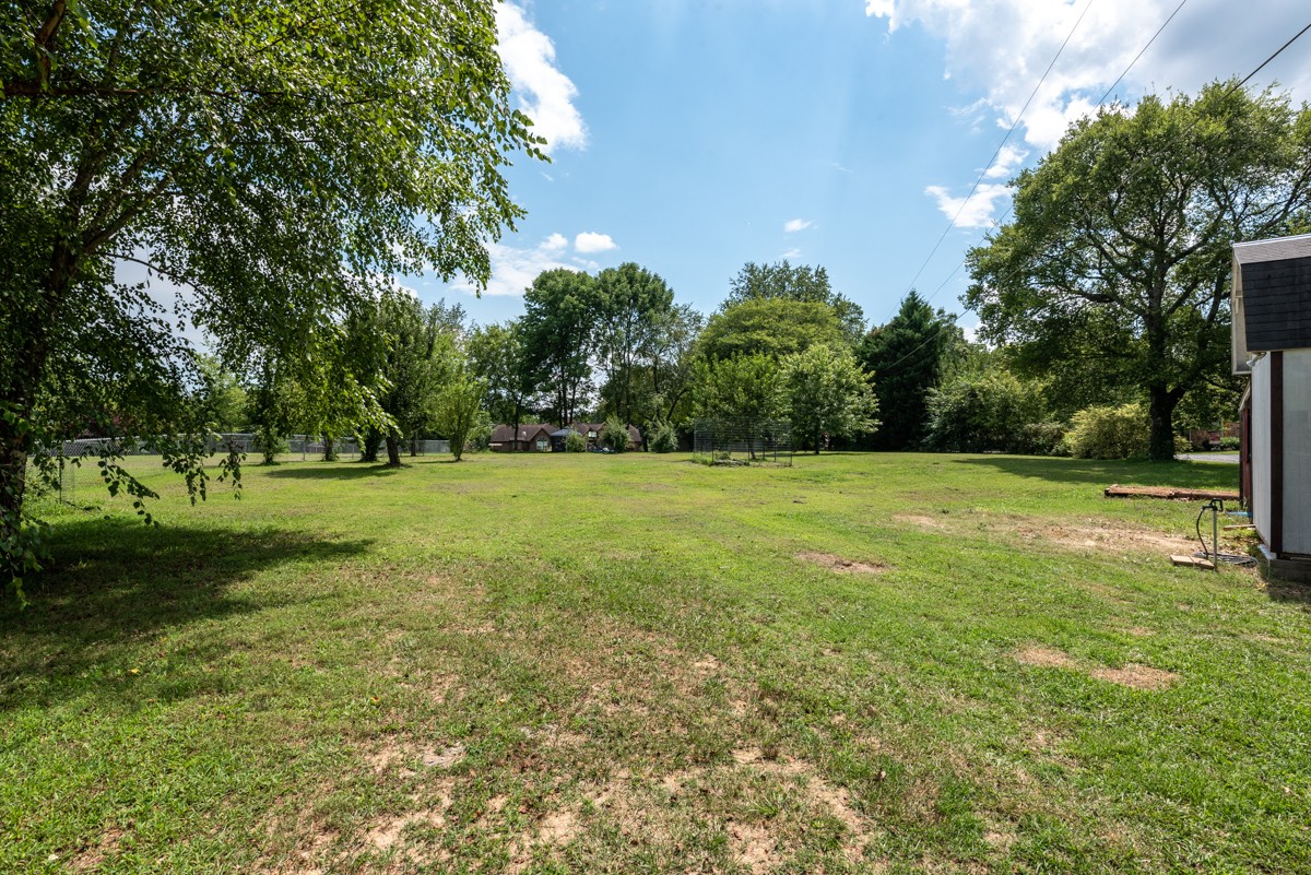 341 Lee Road Cottontown, TN 37048 - Photo 35 of 43 a view of a green field with trees in the background