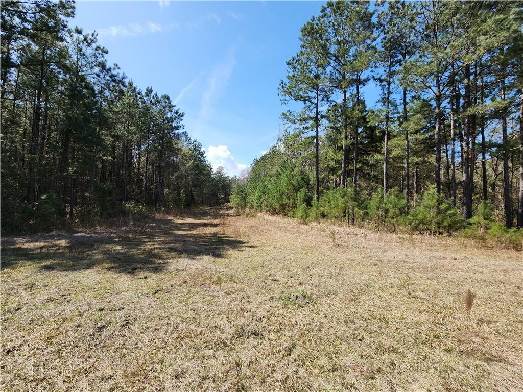 1012 Star Ranch Road Brunswick, GA 31523 - Photo 10 of 43