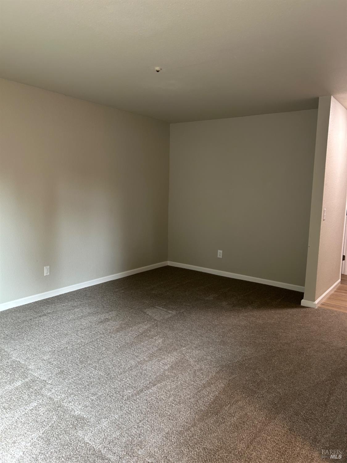 2829 Apple Valley Lane Santa Rosa, CA 95403 - Photo 9 of 14 large living room with great wall space for furniture placement