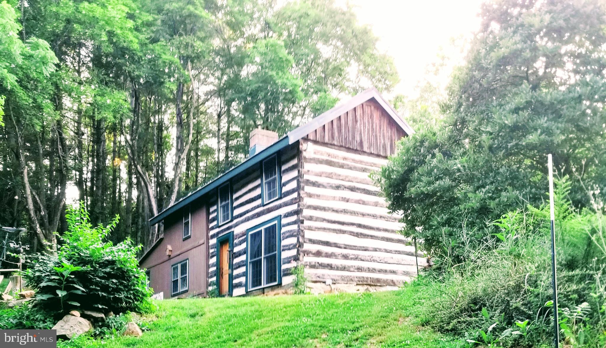 10199 Dead End Road Delaplane, VA 20144 - Photo 40 of 55 Front