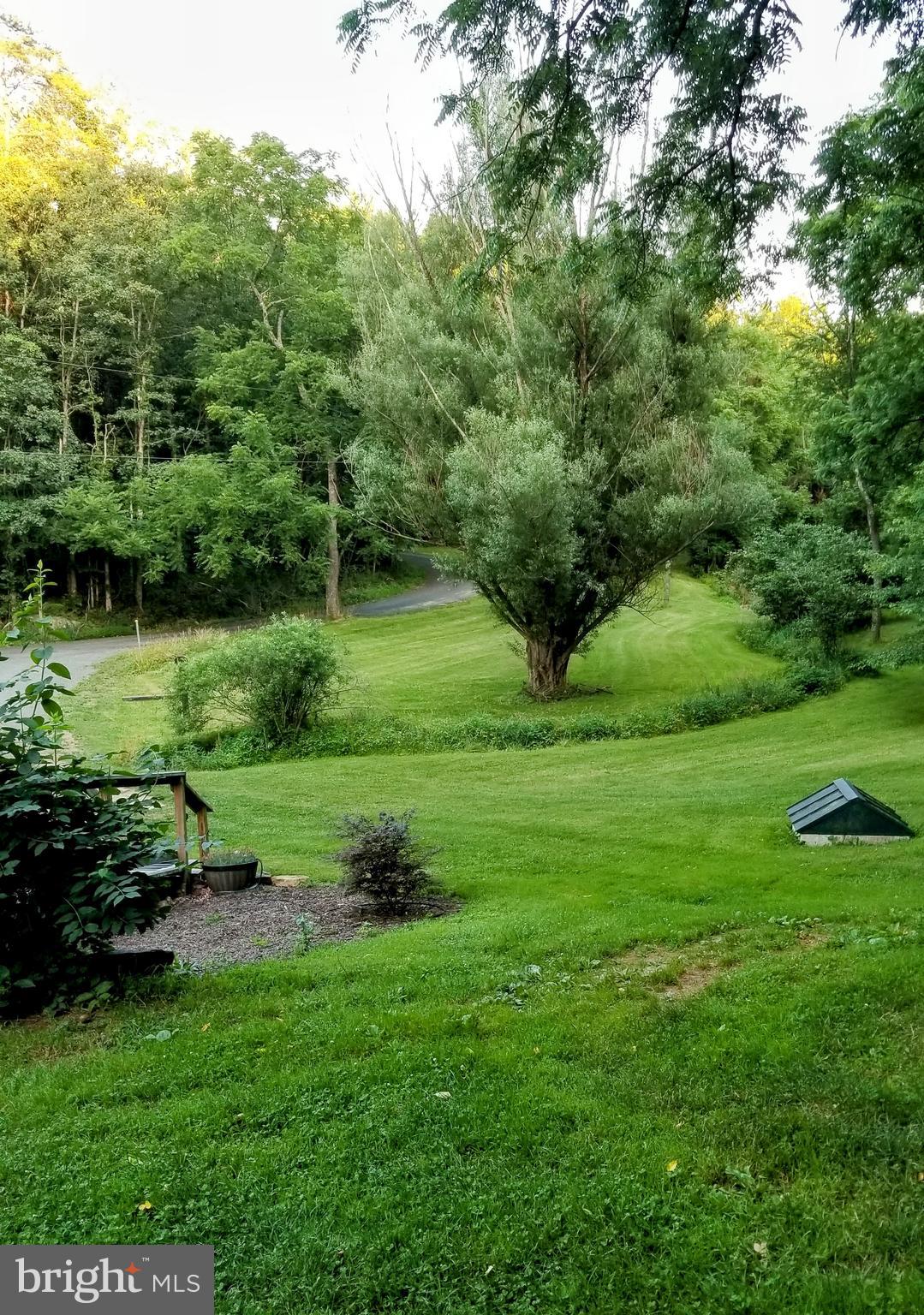 10199 Dead End Road Delaplane, VA 20144 - Photo 52 of 55 View from the house