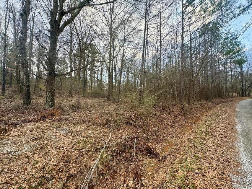 3 Sartain Road Dennis, MS 38838 - Photo 3 of 5 20250208212132072117000000-o