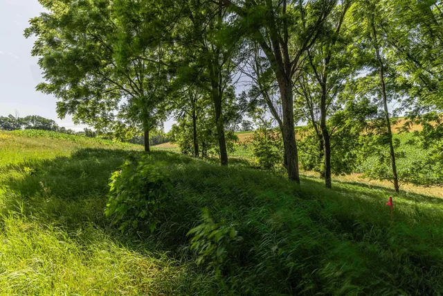 $425,000 | Lot 18 18.0 Acres Hefty, Monticello, WI 53570