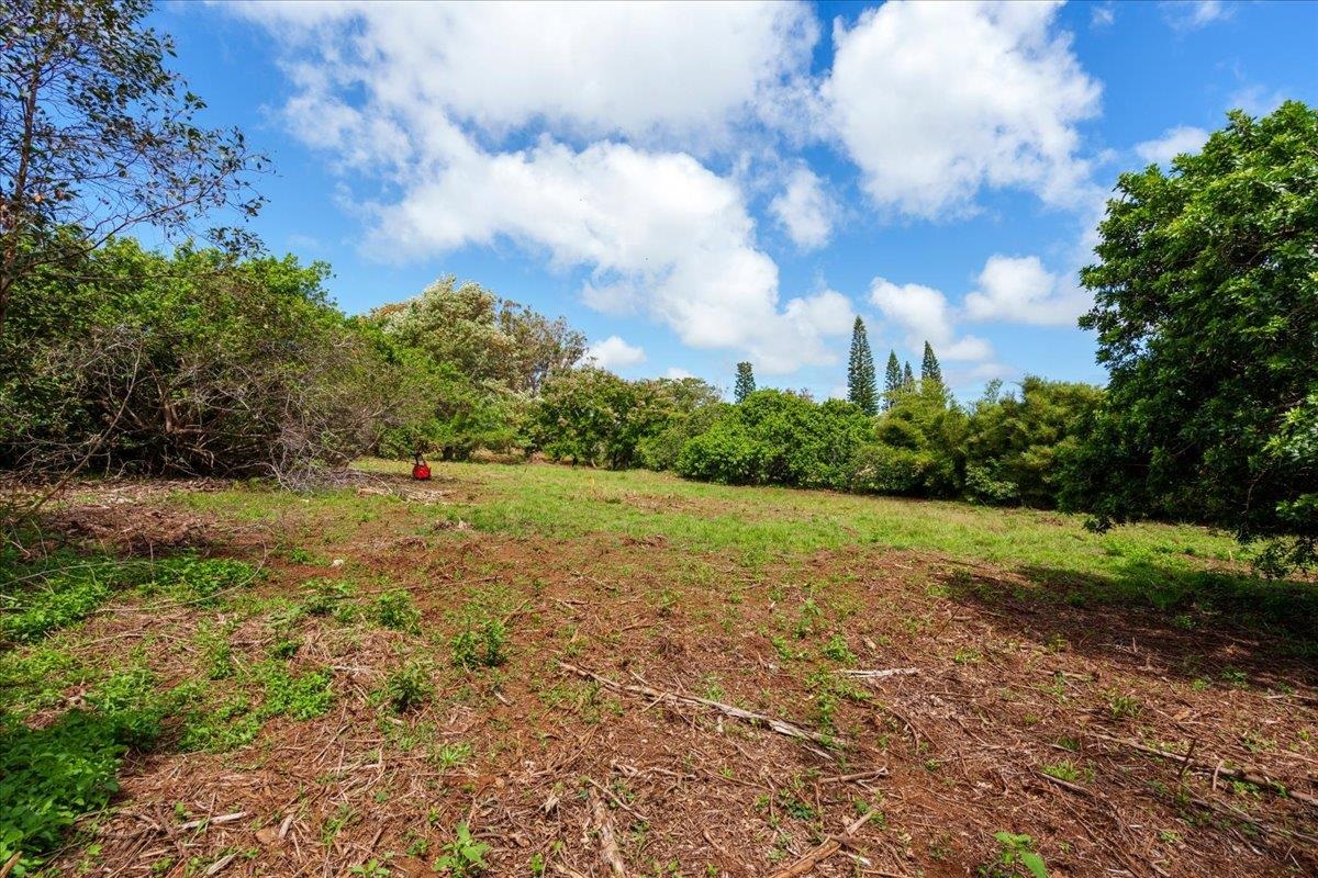 2175 Kauhikoa Road, Unit 7 Haiku, HI 96708 - Photo 9 of 21